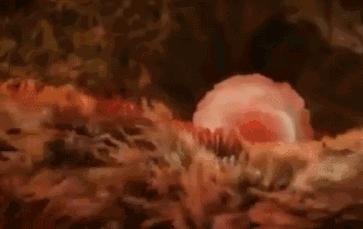 每一个都那么拼命前进，我们还好意思去选择性别吗？