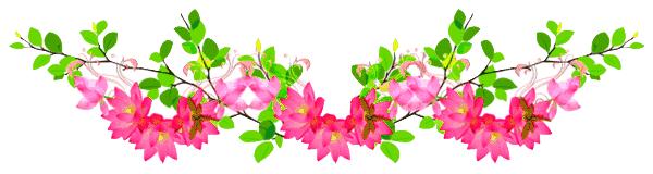 燕子楼戏曲,经典粤剧燕子楼