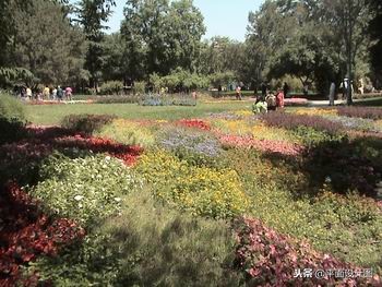 索尼dvd805e摄像机,索尼rx550e摄像机