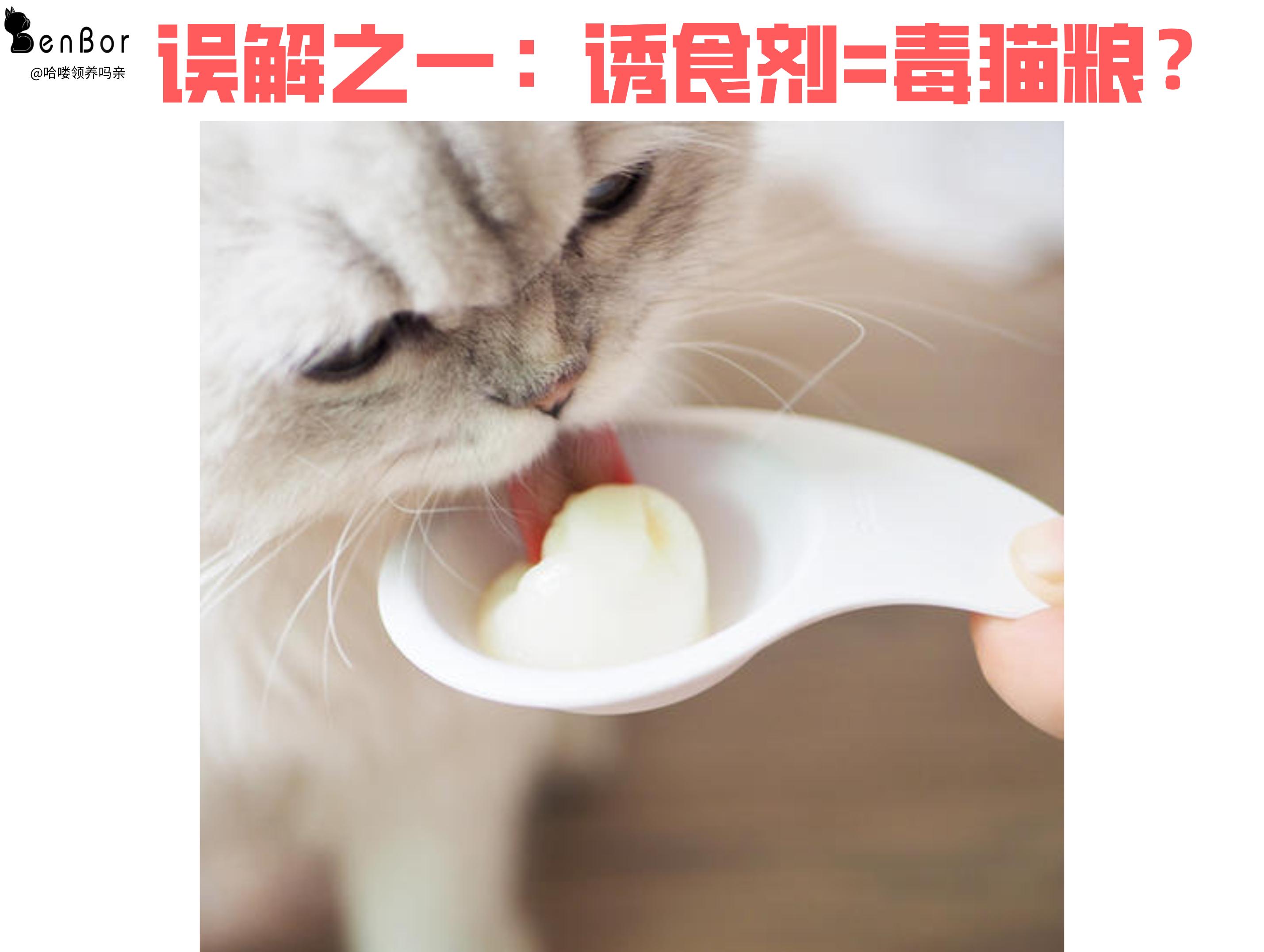 为什么猫吃了异烟肼没事,毒猫粮对猫有什么危害