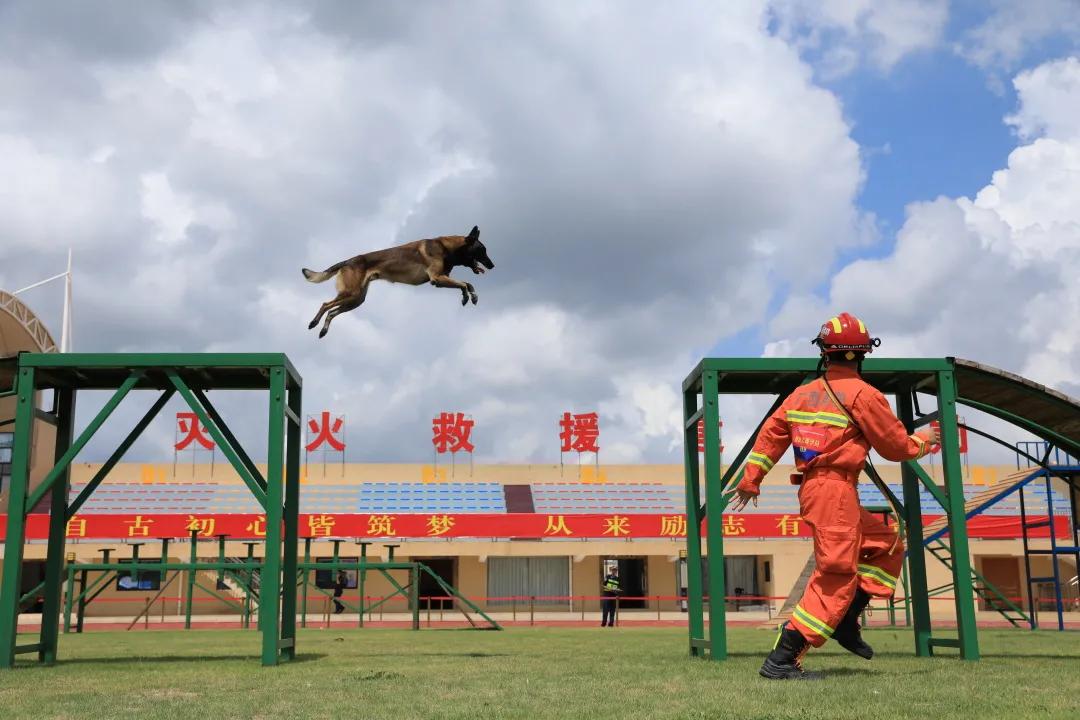 火热开赛！看看满屏的邕城“蓝友力”