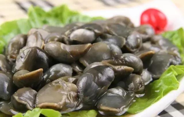 史上最全面的海鲜大咖,史上最全海鲜视频