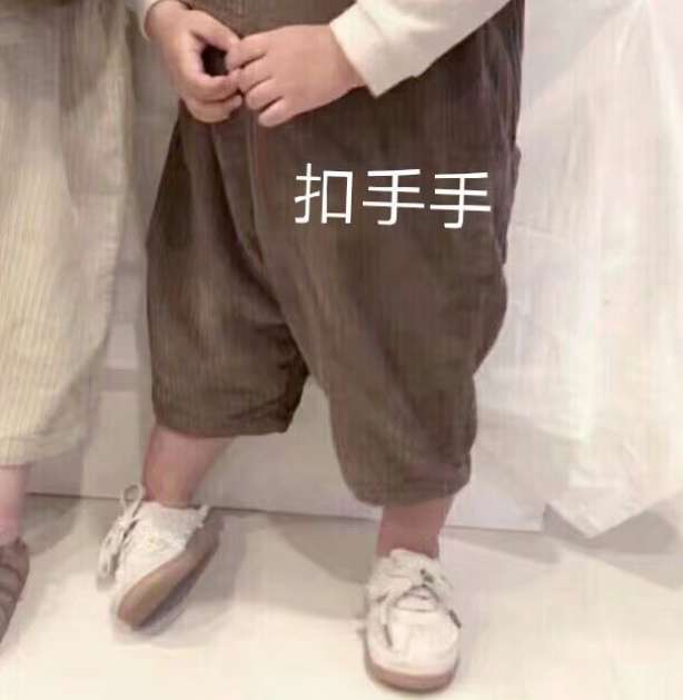 最好的天然猫粮,世界上最顶级的猫粮