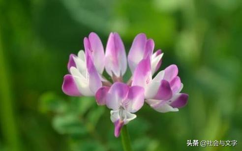 时运不济怎么及时化解,时运不济该怎么开导自己