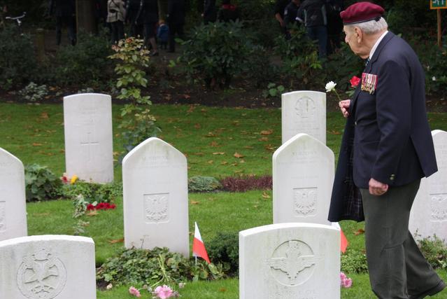 荷兰的绝美照片,荷兰绝美自然风光照片