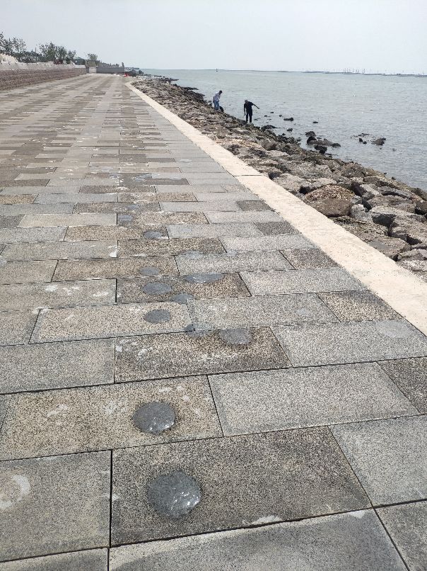 滨海临港经济开发区,滨海新区临港经济区都包括哪里