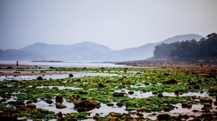 比普吉岛少的岛,比巴厘岛好玩的岛
