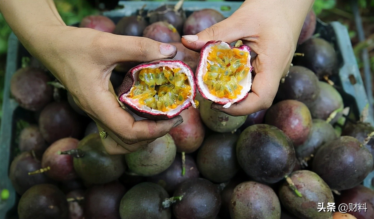 网上购物出了问题怎么赔偿,网上购物损失怎么赔偿