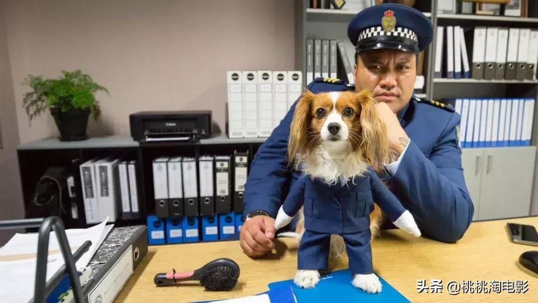 好看的灵异神怪剧,推荐几部灵异的电视剧吧