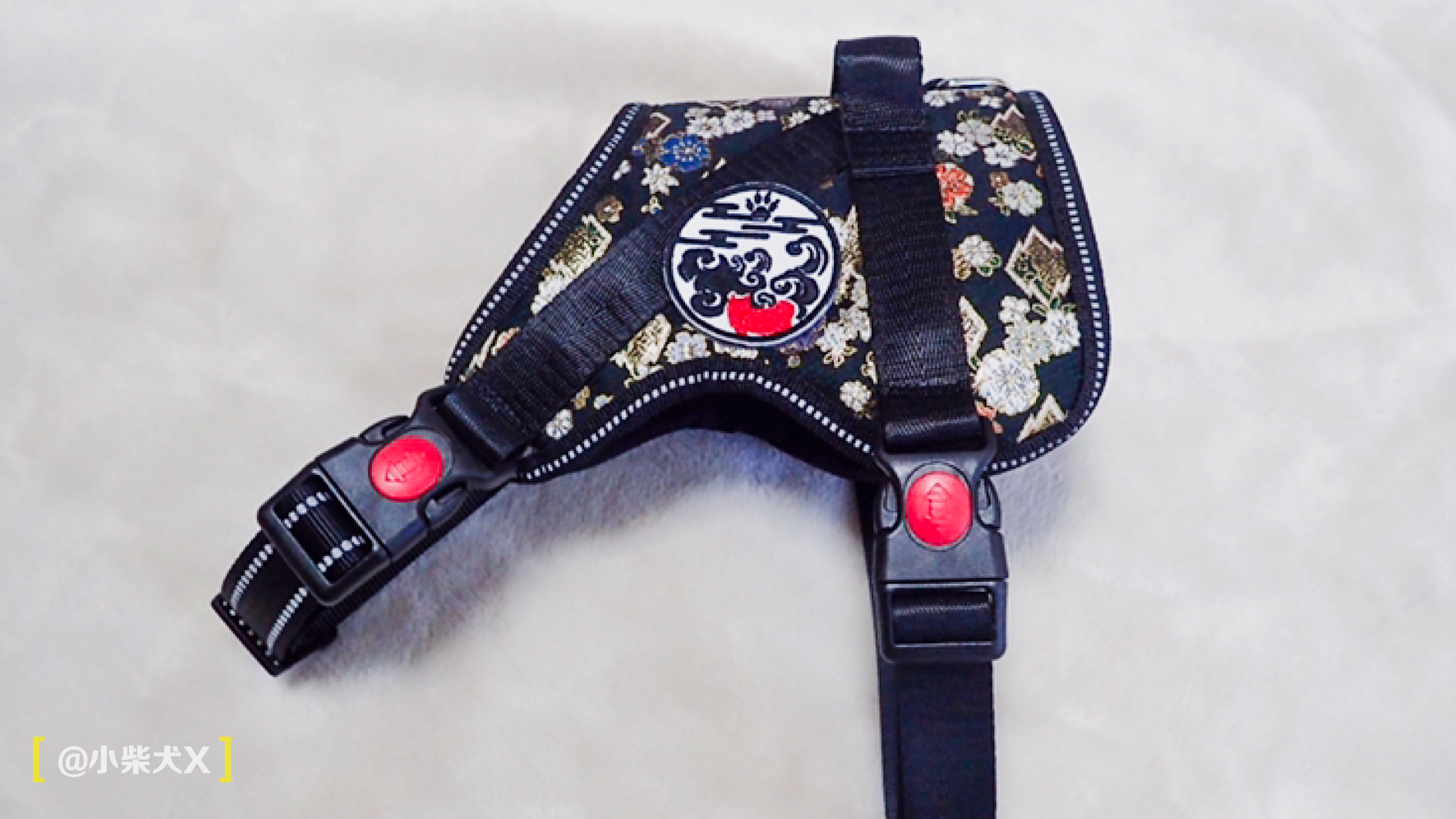 一对日本夫妇设计了最具日本传统特色的狗狗用品，太适合柴犬了