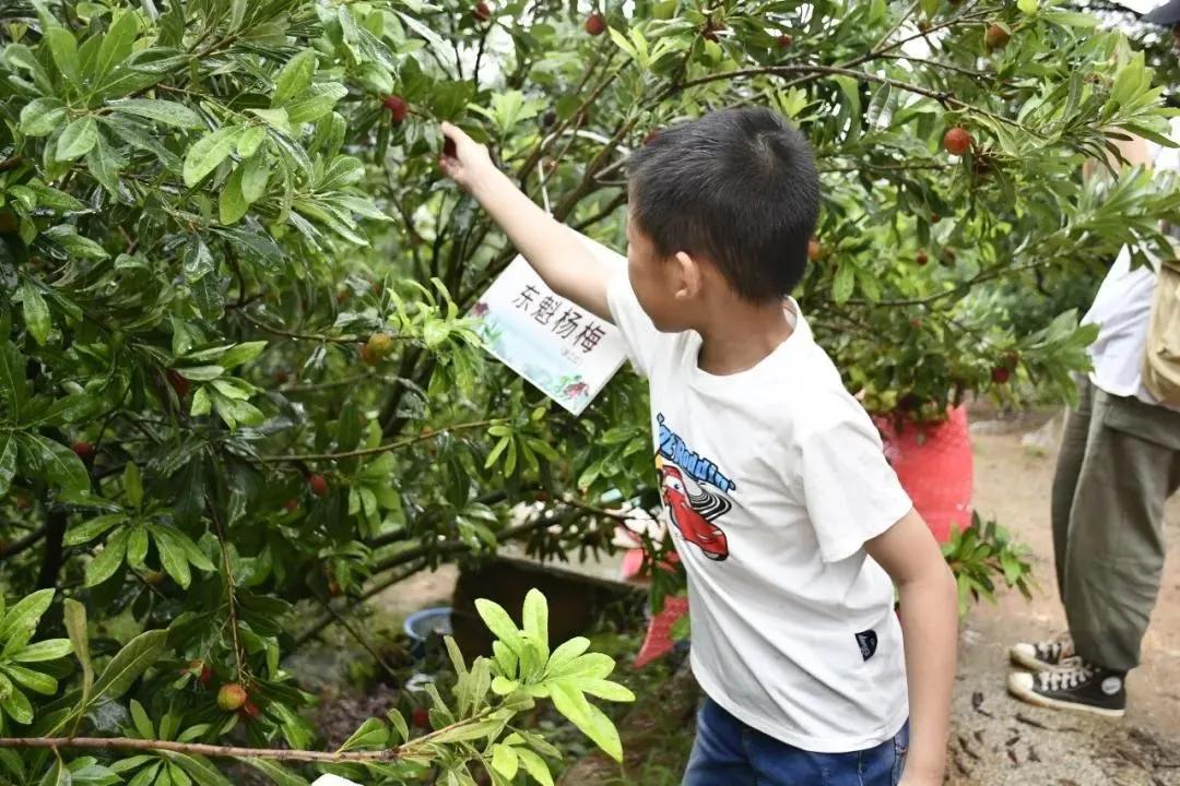 制度自信团支部主题团日活动,青春战疫勇担当主题团日活动