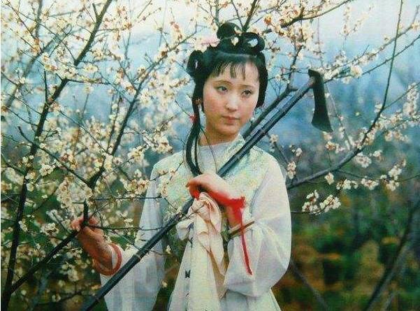 红楼梦最经典的十句诗词,《红楼梦》最经典的12首诗词