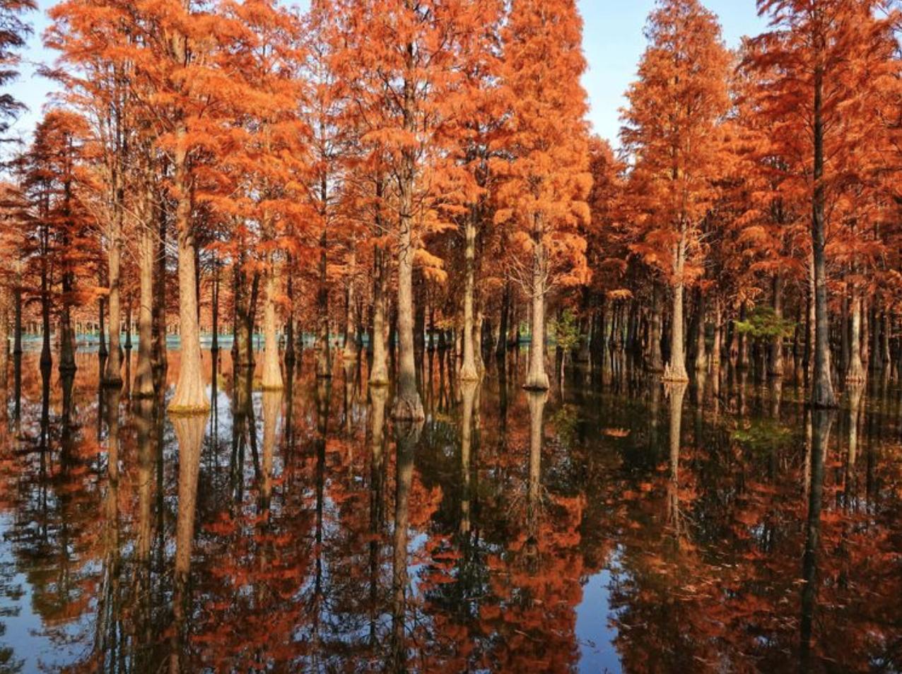 玉溪冲浪,玉溪映月潭温泉周边美食