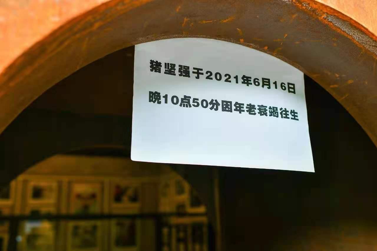猪坚强在汶川大地震中枪了多少天,汶川大地震36天猪坚强的视频