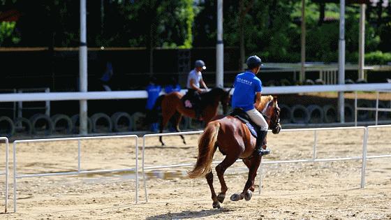 世界花卉大观园遛娃好去处,大观园遛娃攻略