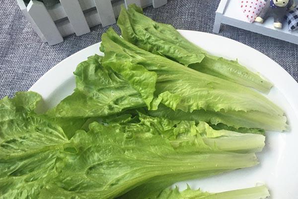 什么是元气用什么方法补充元气,元气通过什么方法补