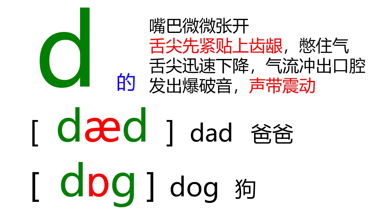 48张国际音标卡片大号,音标48个卡片
