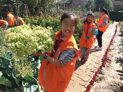 立德树人教书育人校园文化,彰显校园文化育人功能