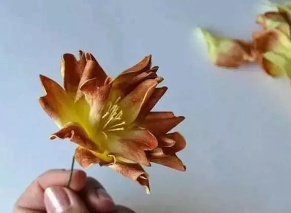 海绵纸手工制作花朵幼儿园,海绵纸创意手工幼儿园动物