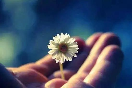 买菜多付10块怎么办,买菜多找回来的钱能留着吗