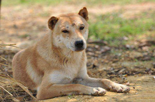 长沙南大十字路上的生活回忆与凄美传说