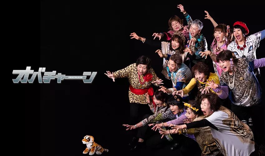 年均66岁的豹纹大妈团火了！唱rap，跳电音，连总理都点赞