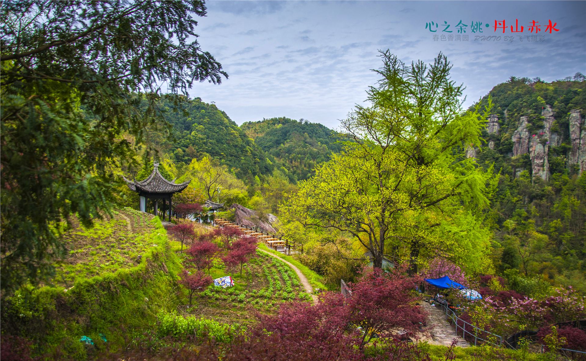 丹山赤水的老柿林景区,丹山赤水柿林古村