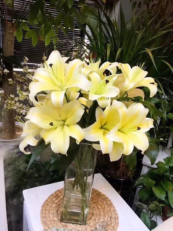 香水百合鲜切花云南鲜花基地,什么颜色的百合最好养活