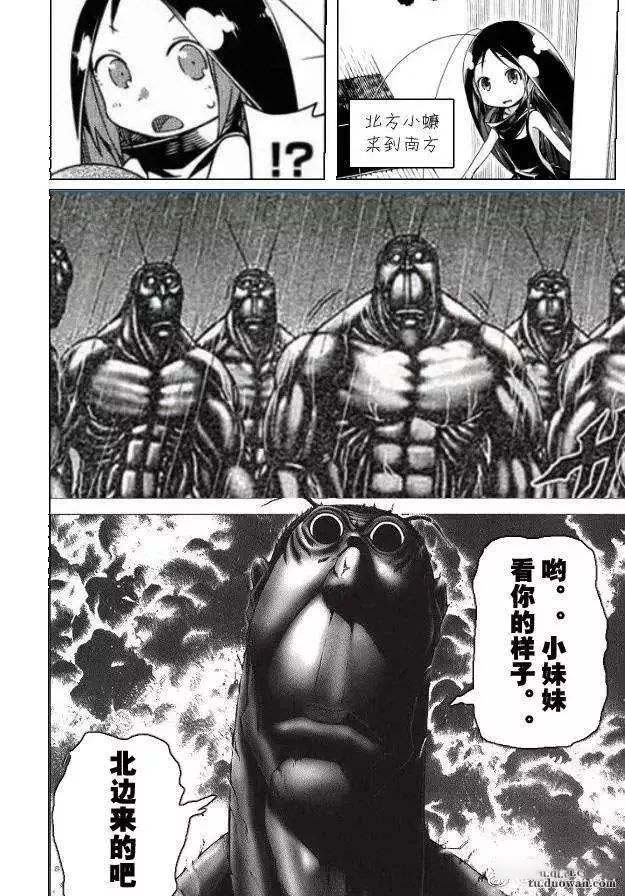 广东的蟑螂到底有多大,广东的蟑螂到底有多可怕