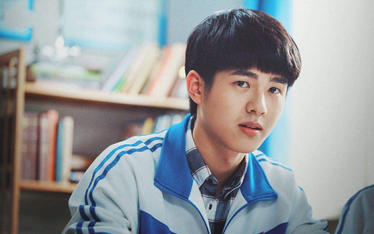 情书柏原崇藤井树解析,藤井树柏原崇是啥意思