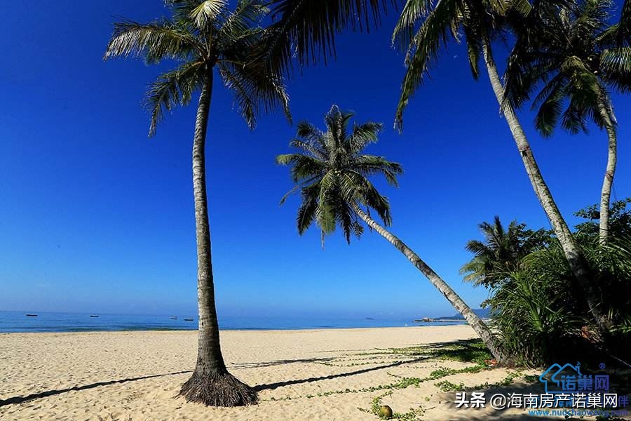澄迈天赐上湾缺点,澄迈天赐上湾是海景房吗
