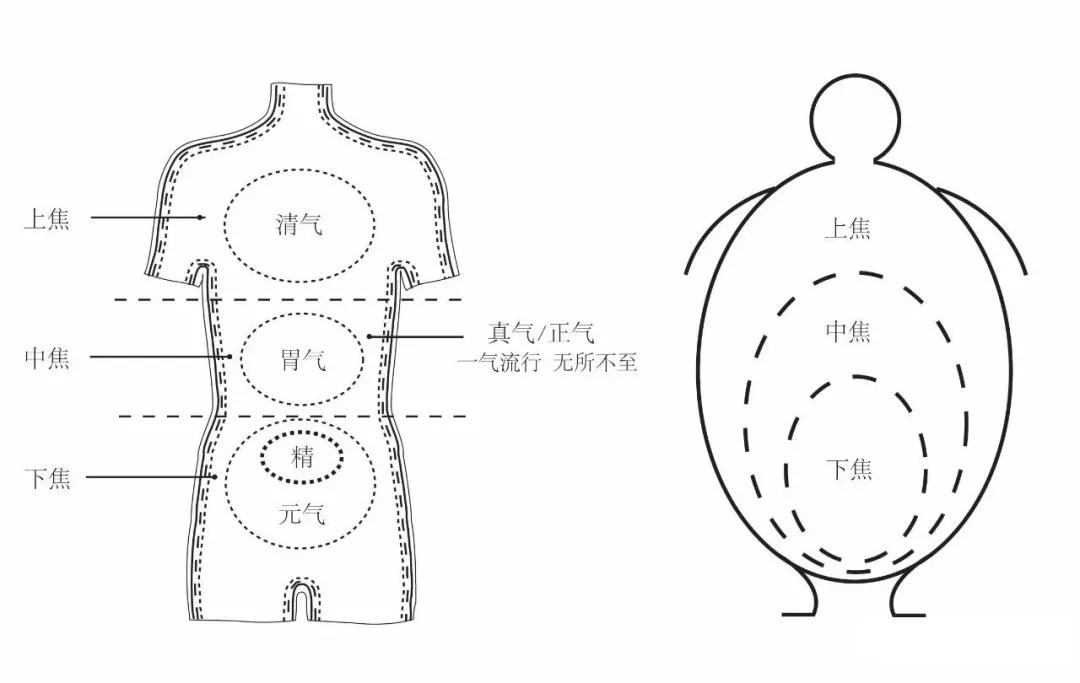 李辛的养生知识,李辛养生