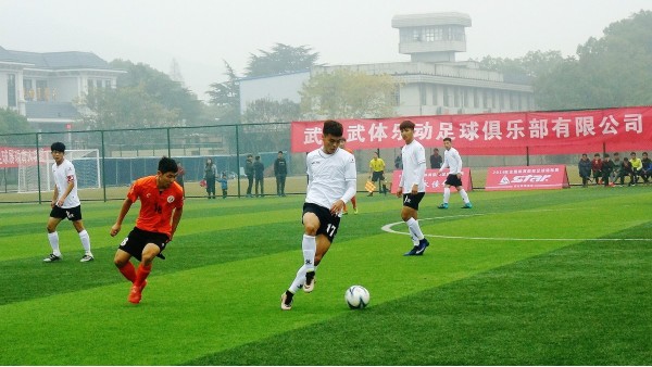 多利隆人造草坪,多利隆高端仿真草坪