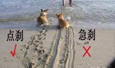 开车遇到紧急情况急刹还是点刹,开车急刹要注意什么