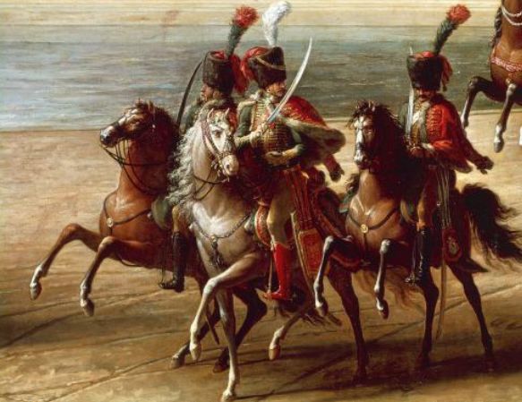 马的忍耐力有多强,马的耐力不好怎么练