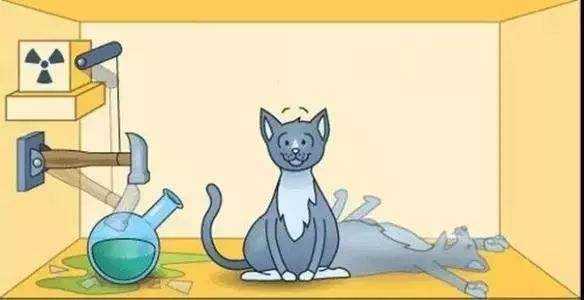 关于薛定谔的猫最通俗易懂的解释,简明扼要的阐述薛定谔的猫