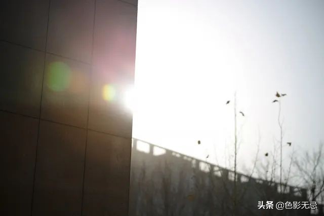 佳能85mm1.2rf对比柔焦版,佳能rf24-105mmf2.8镜头评测