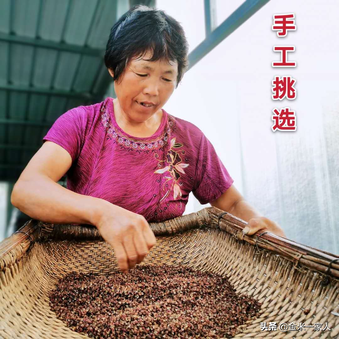 花椒好吃但是摘花椒也辛苦,教给大家采摘花椒的小技巧