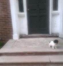 虽然她是在鄙视，不过我突然有了个大胆的想法