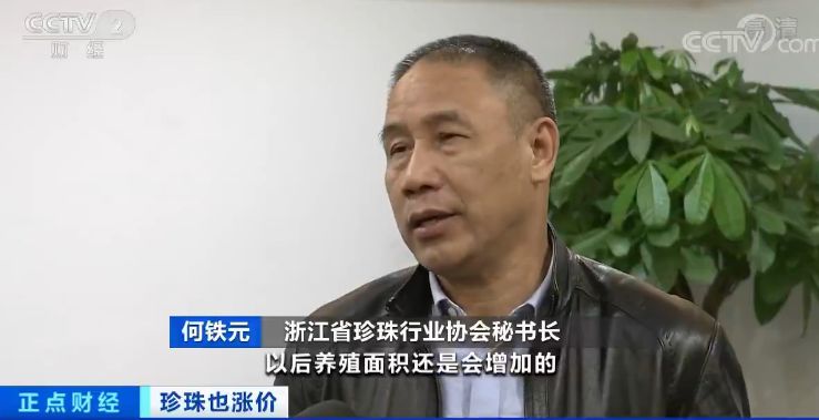 珍珠价格连续三年上涨视频,珍珠价格上涨的原因视频