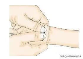 小儿推拿学习技巧视频教程,小儿推拿从零开始学会