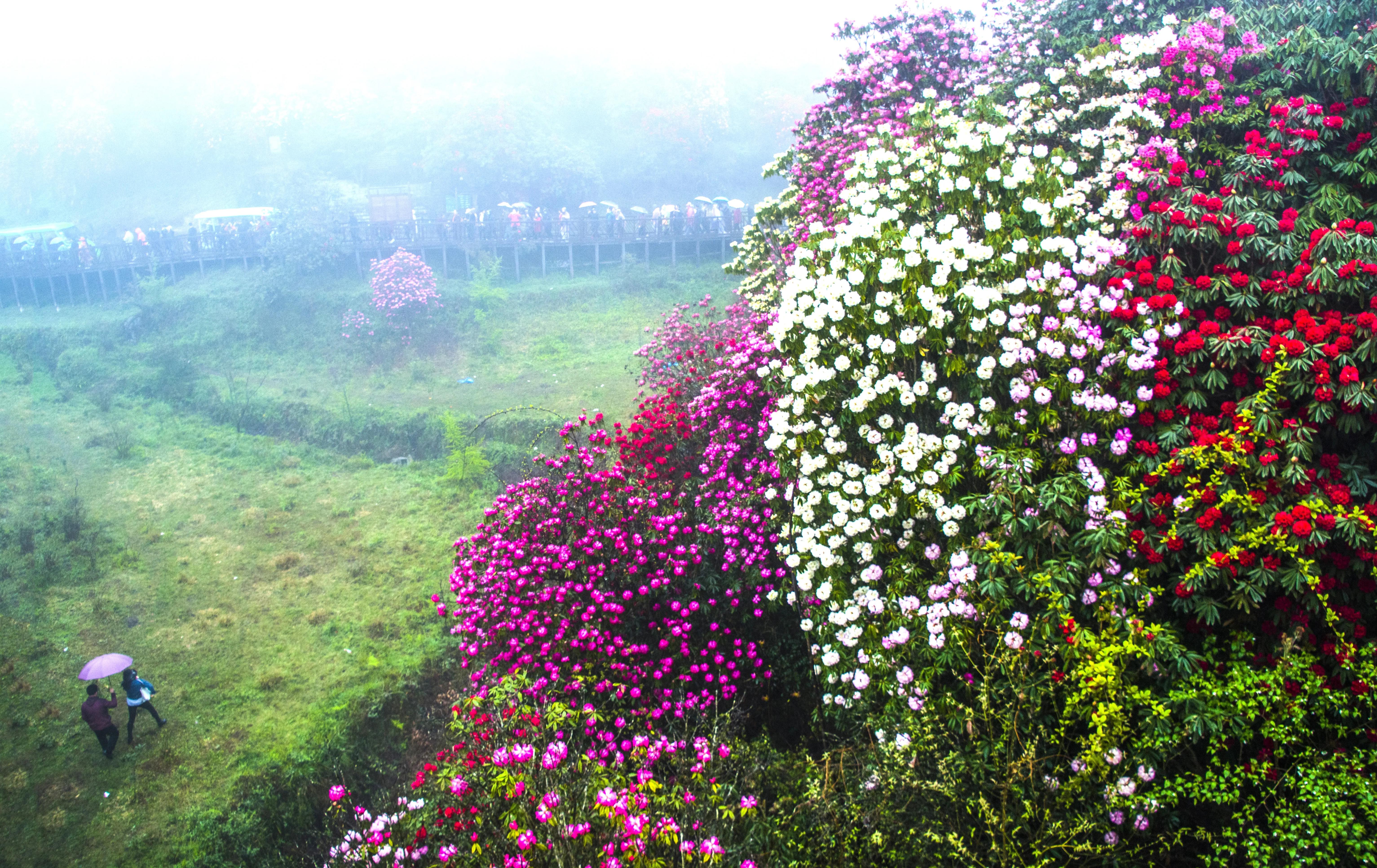 贵州大学1984级管科系同学欢聚毕节录