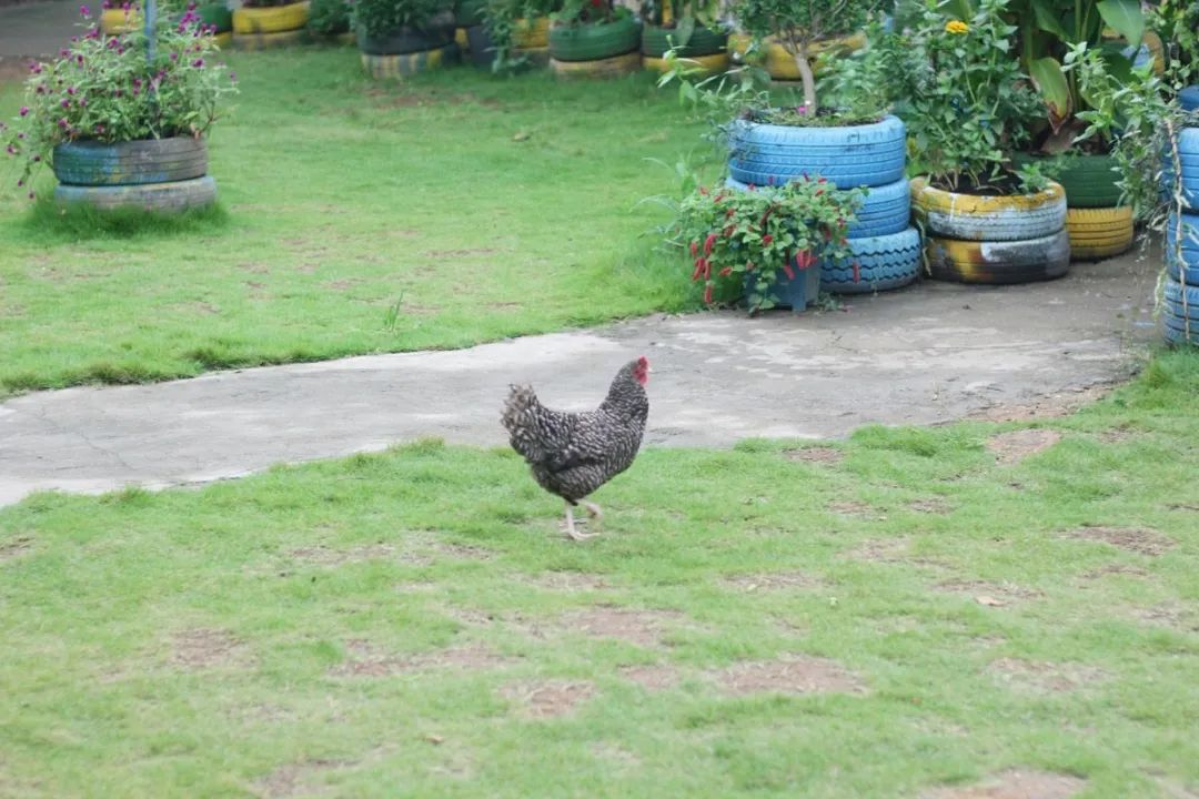 长沙生态农庄野炊采摘,长沙岳麓区垂钓农家乐