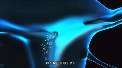 网飞利润,网飞靠什么盈利