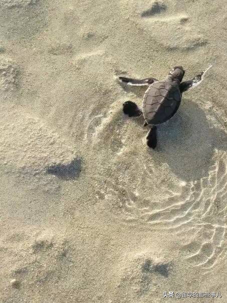 澳大利亚有哪些旅游胜地,澳大利亚有什么好玩的免费景点