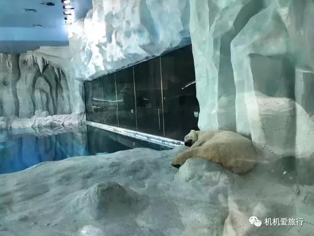 珠海和广州长隆旅游攻略,珠海长隆乐园游玩攻略