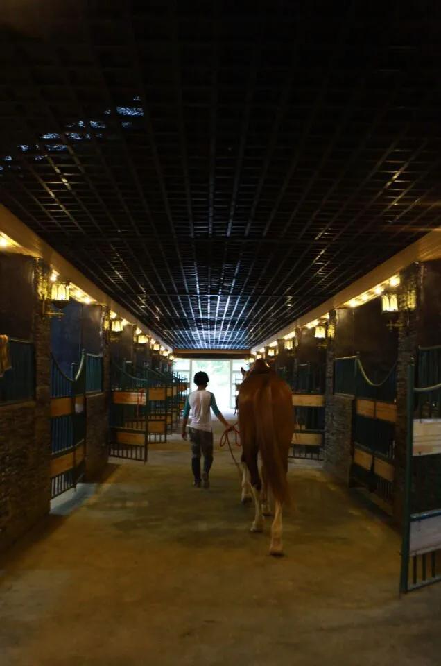 天气热去新疆避暑,塔城冬季游玩