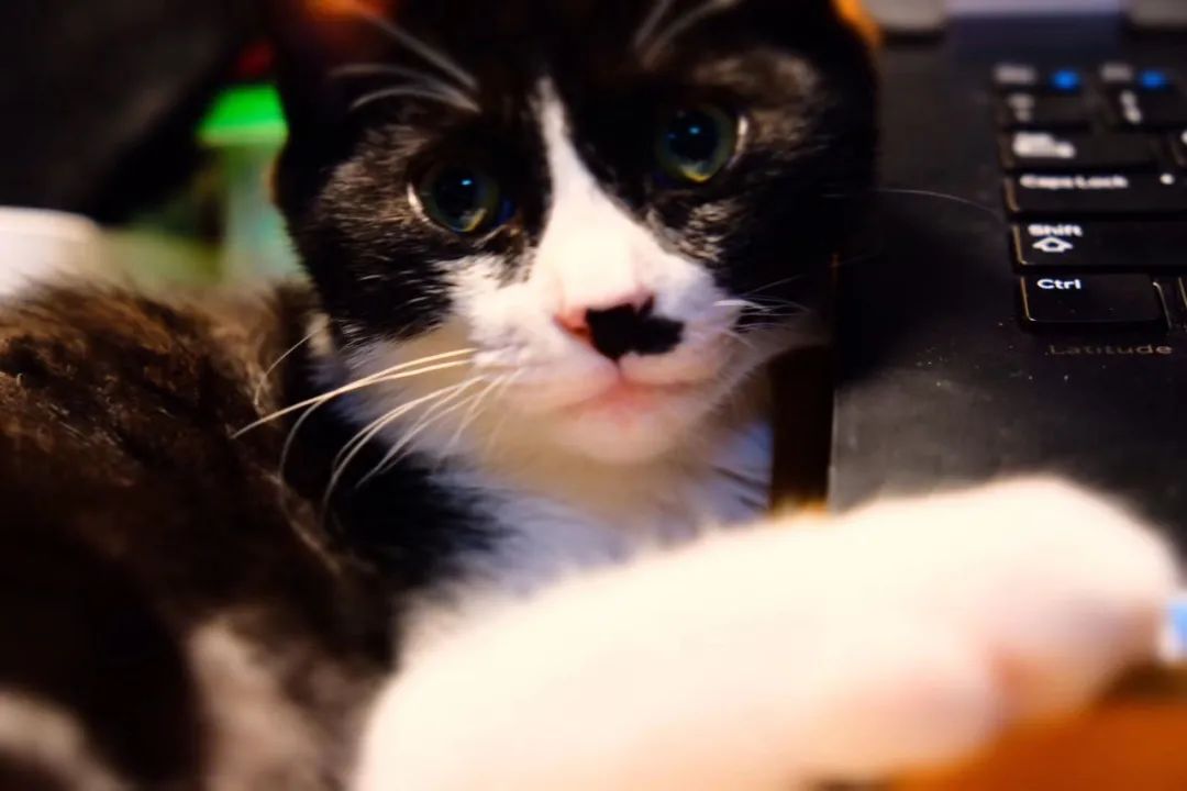 和卡卡的第一次合作,和卡卡相遇