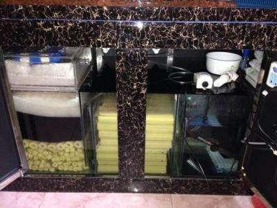 鱼缸接二连三死鱼要不要翻缸,鱼缸里鱼时不时死一条