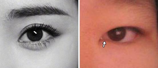 迄今为止杨幂都撩过哪些男明星,盘点杨幂那些年撩过的男嘉宾